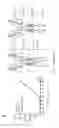 Fig. 09 - NUCLEIC ACID CONSTRUCT FOR EXPRESSING MORE THAN ONE CHIMERIC ANTIGEN RECEPTOR