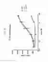 Fig. 06 - Antibodies to human programmed death receptor PD-1