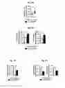 Fig. 06 - Reducing systemic regulatory T cell levels or activity for treatment of Alzheimer's disease