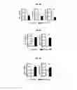 Fig. 09 - Reducing systemic regulatory T cell levels or activity for treatment of alzheimer's disease