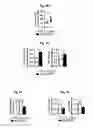 Fig. 06 - Reducing systemic regulatory T cell levels or activity for treatment of disease and injury of the CNS