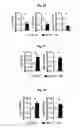 Fig. 09 - Reducing systemic regulatory T cell levels or activity for treatment of disease and injury of the CNS