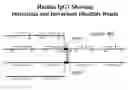 Fig. 01 - ENGINEERED SITE-SPECIFIC ANTIBODIES AND METHODS OF USE