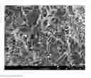 Fig. 01 - COATING FORMULATION