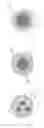 Fig. 01 - Quantum dot luminophore