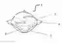 Fig. 01 - Process Of Washing Fabrics That Have A Cationically Charged Softening Active Deposited Thereon
