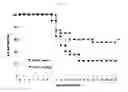 Fig. 06 - Lactic acid bacterium having IgA production promoting activity, and use thereof