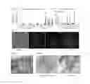 Fig. 07 - HIGH-THROUGHPUT IMAGE-BASED CHEMICAL SCREENING IN ZEBRAFISH BLASTOMERE CELL CULTURE