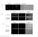 Fig. 09 - HIGH-THROUGHPUT IMAGE-BASED CHEMICAL SCREENING IN ZEBRAFISH BLASTOMERE CELL CULTURE