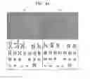Fig. 09 - Postnatal adherent cells and preparation method therefor