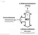 Fig. 02 - COMPOSITIONS AND METHODS FOR GENERATING ANTIGENS, ANTIBODIES, AND IMMUNOTHERAPEUTIC COMPOSITIONS AND METHODS