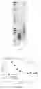 Fig. 25 - Modified DNase and uses thereof
