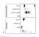 Fig. 08 - Methods and compositions for segregating target nucleic acid from mixed nucleic acid samples