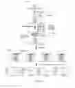 Fig. 03 - Polymer tagged nucleotides for single molecule electronic SNP assay