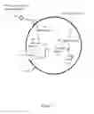 Fig. 02 - Mechanisms of antimicrobial susceptibility