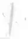 Fig. 09 - Reroofing shingle
