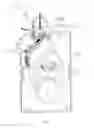 Fig. 05 - Pool and spa water quality control system and method