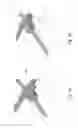 Fig. 12 - Smart ladder