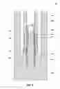 Fig. 05 - Coring tools including core sample flap catcher and related methods