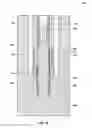 Fig. 06 - Coring tools including core sample flap catcher and related methods