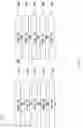 Fig. 19 - Well restimulation downhole assembly