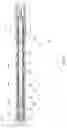 Fig. 09 - Casing floatation system with latch-in-plugs