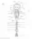 Fig. 08 - Article retaining device and method of attachment