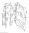 Fig. 02 - Vehicle lamp light assembly