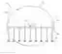 Fig. 13 - Candelabrum of hanging candles