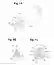 Fig. 05 - Multi-bullet shooting electric gun
