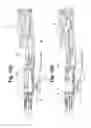 Fig. 13 - Multi-bullet shooting electric gun