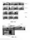 Fig. 06 - Detecting personnel, their activity, falls, location, and walking characteristics
