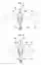 Fig. 09 - Human body detecting device