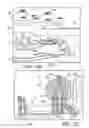 Fig. 15 - Fixative and staining solutions