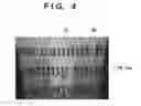 Fig. 05 - Measuring apparatus