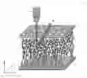 Fig. 01 - Method and system of pesticide detection using SERS