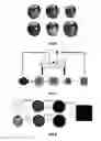Fig. 04 - Automated quality control and selection
