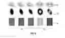 Fig. 05 - Automated quality control and selection