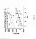 Fig. 07 - Ion sensitive field effect transistor (FET) with back-gate coupled reference electrode