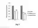Fig. 05 - GENE RELEVANT TO PAPILLARY THYROID TUMORS
