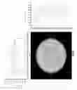 Fig. 06 - Frontal light diffusing device for use in photoimmunotherapy