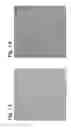 Fig. 09 - Trans-illumination imaging with use of interference fringes to enhance contrast and find focus
