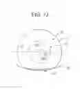 Fig. 08 - Truncated translating contact lens with optimized performance and method of design
