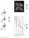 Fig. 09 - Pixel structure utilizing nanowire grid polarizers with multiple domain vertical alignment