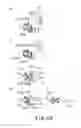 Fig. 49 - Electrophotographic image forming apparatus, developing apparatus, and coupling member