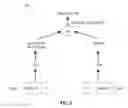 Fig. 06 - Parallel build of non-partitioned join hash tables and non-enforced n:1 join hash tables