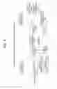 Fig. 05 - Transmission device, transmission method, reception device, and reception method