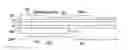 Fig. 01 - Selective writes in a storage element