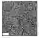 Fig. 01 - Magnetically tunable photonic crystals based on anisotropic nanostructures