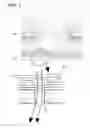 Fig. 06 - Spherical aberration corrector for electromagnetic lens for charged particle beam